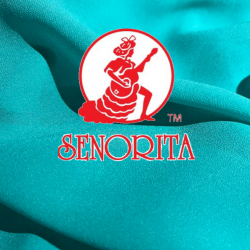 Chiffon Silky Fabric 60 inch Wide - Light Teal 024