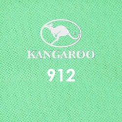  Kangaroo Premium Voile Scarf Tudung Bawal Plain 45" Light Mint Green #912