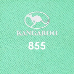 #855 Kangaroo Premium Voile Scarf Tudung Bawal Plain 45" Mint Green